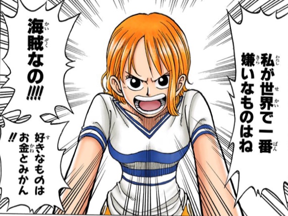 ナミの嫌いなものは海賊
